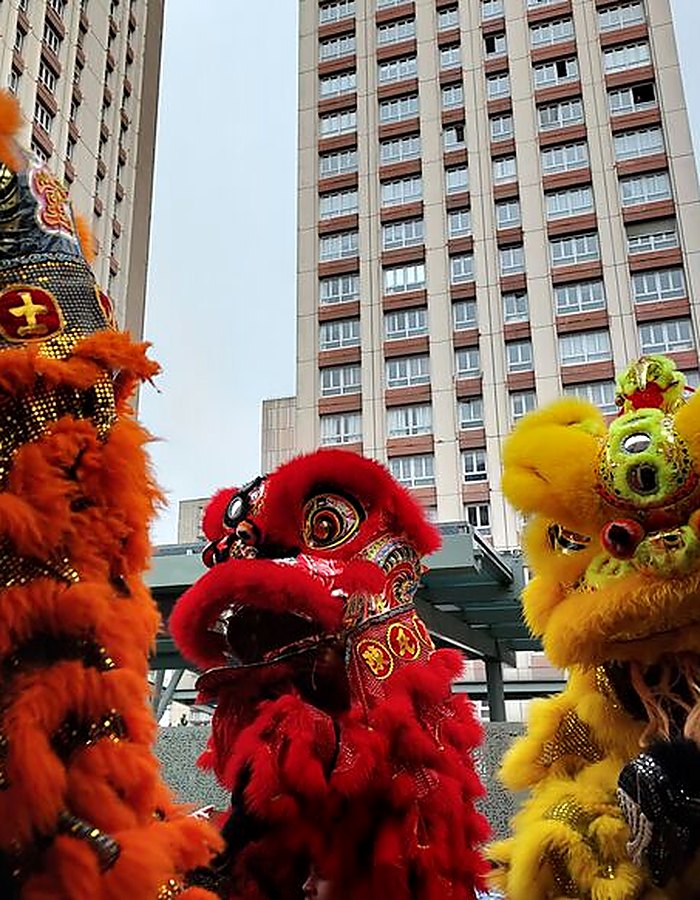 Lions dansants du défilé du Nouvel An lunaire sur l'esplanade des Olympiades, Paris 13e